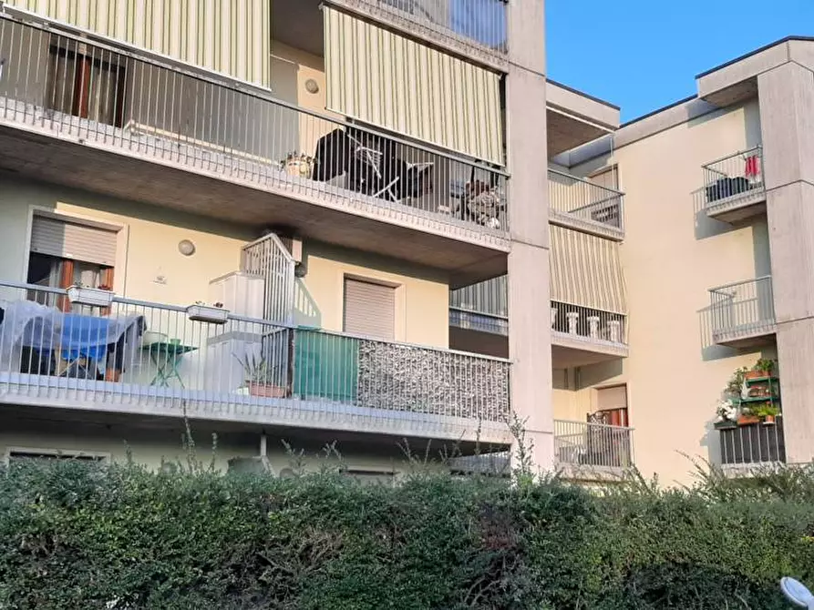 Immagine 3 di Appartamento in vendita  a Valeggio Sul Mincio