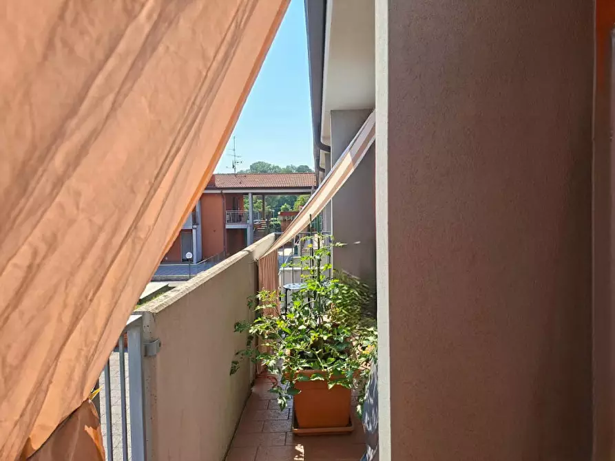 Immagine 6 di Appartamento in vendita  a Valeggio Sul Mincio