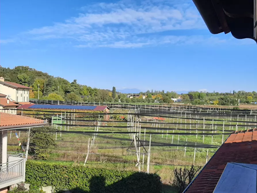 Immagine 18 di Appartamento in vendita  a Valeggio Sul Mincio