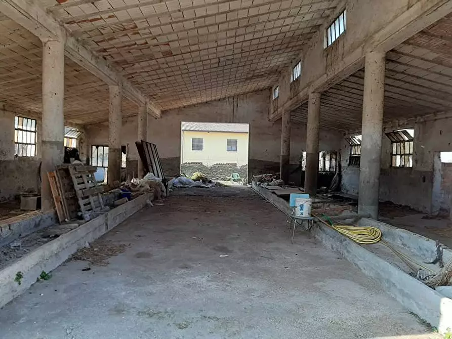 Immagine 19 di Rustico / casale in vendita  in Via Roma a Valeggio Sul Mincio