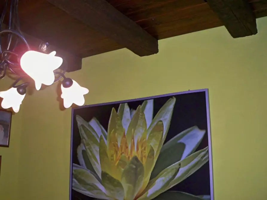 Immagine 12 di Rustico / casale in vendita  a Senigallia