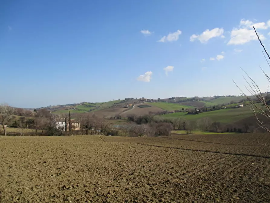 Immagine 2 di Rustico / casale in vendita  a Ostra