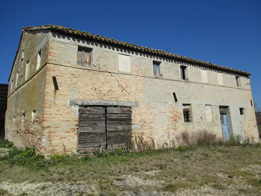 Immagine 4 di Rustico / casale in vendita  a Ostra