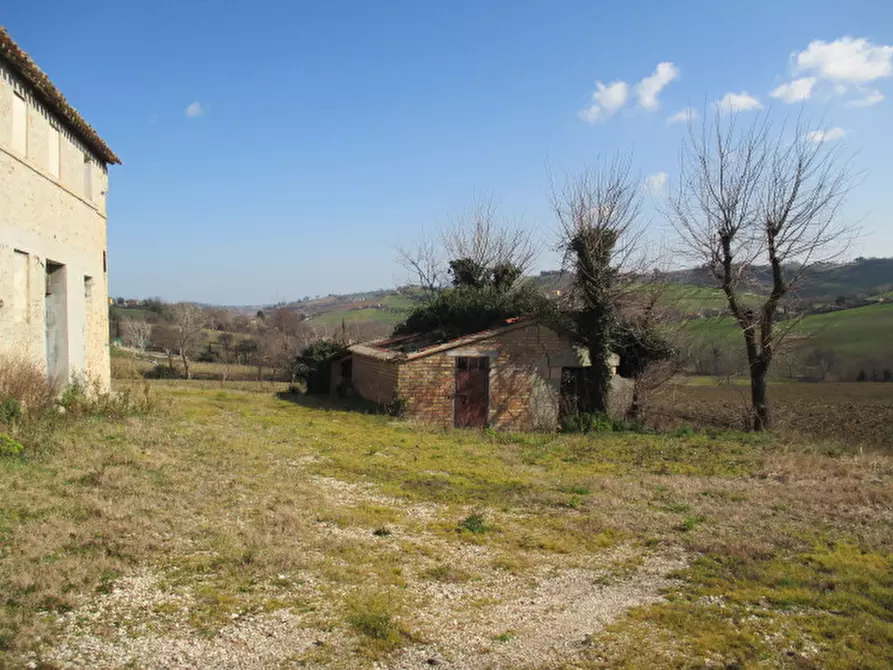 Immagine 5 di Rustico / casale in vendita  a Ostra