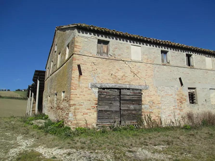 Immagine 6 di Rustico / casale in vendita  a Ostra