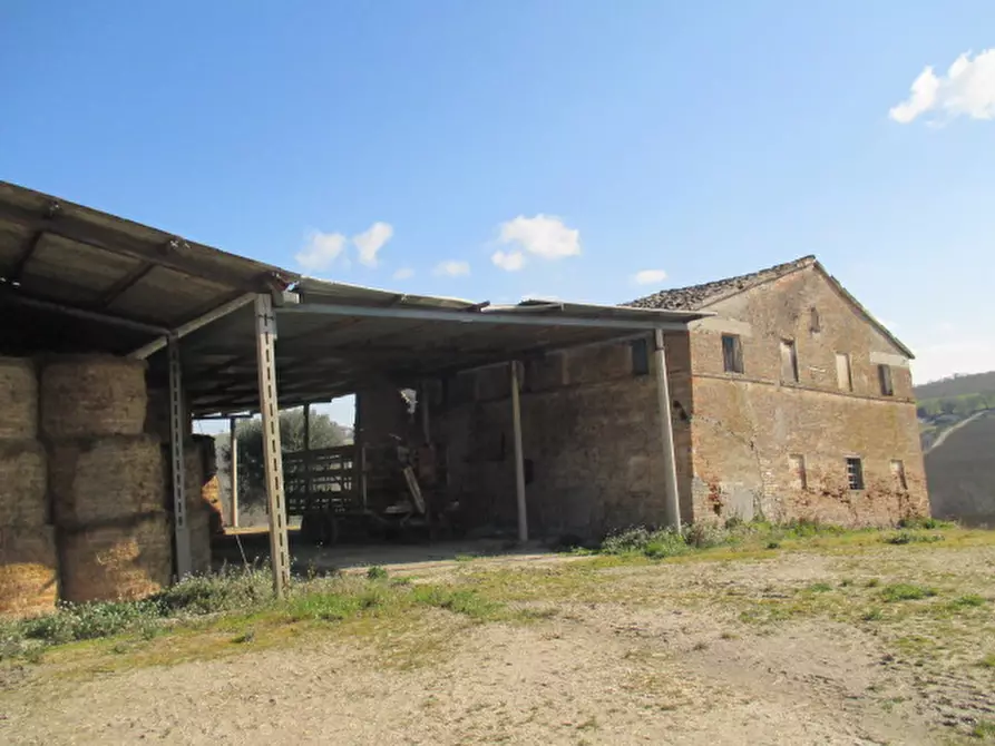 Immagine 7 di Rustico / casale in vendita  a Ostra