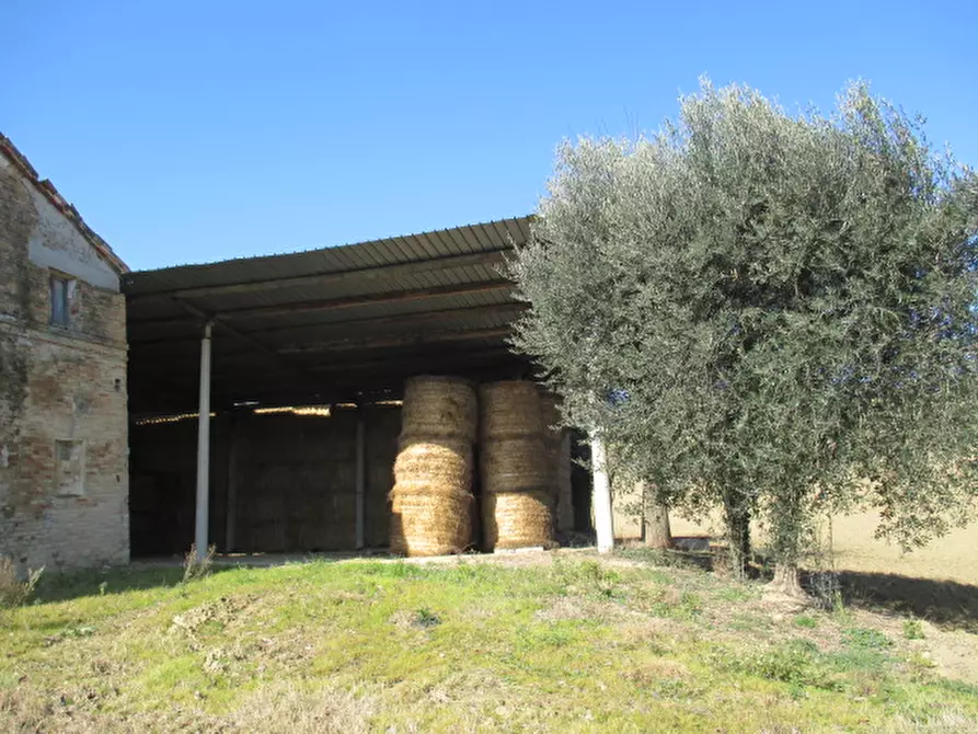 Immagine 8 di Rustico / casale in vendita  a Ostra