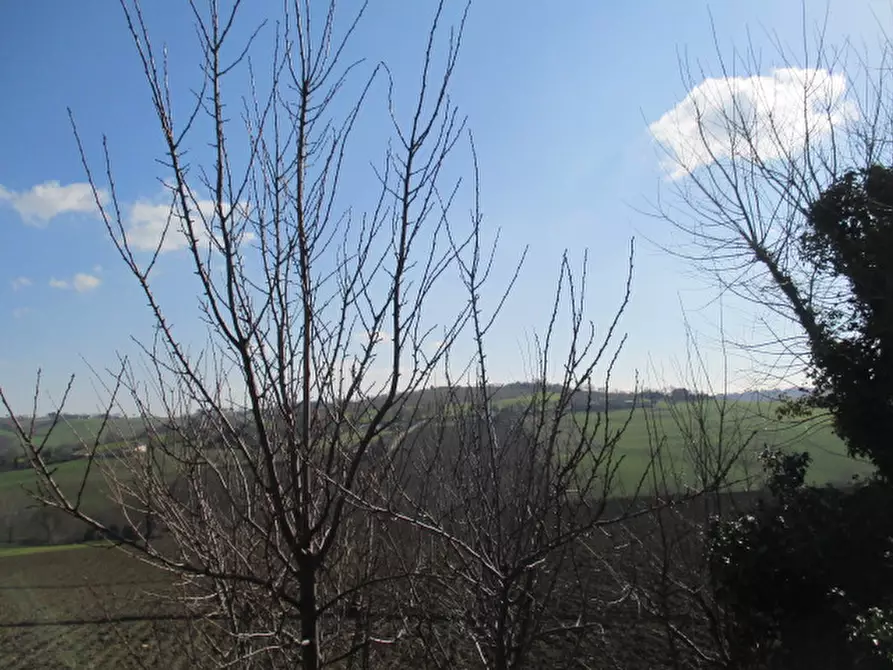 Immagine 9 di Rustico / casale in vendita  a Ostra