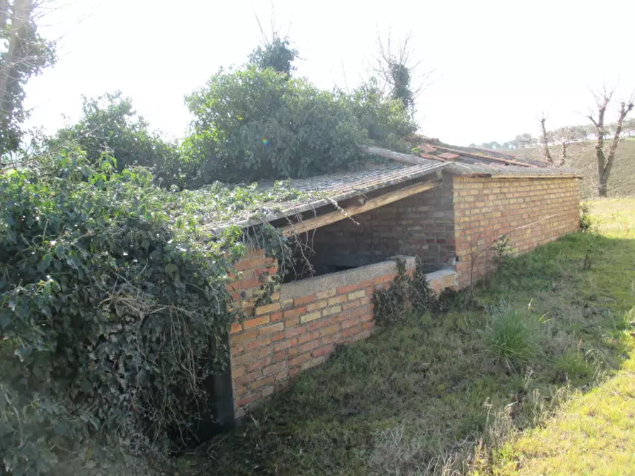 Immagine 10 di Rustico / casale in vendita  a Ostra