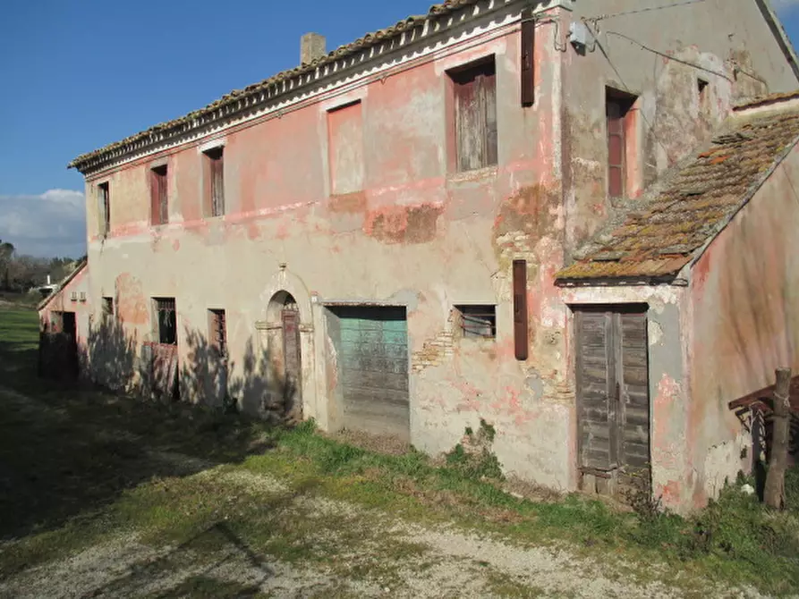 Immagine 1 di Rustico / casale in vendita  a Belvedere Ostrense