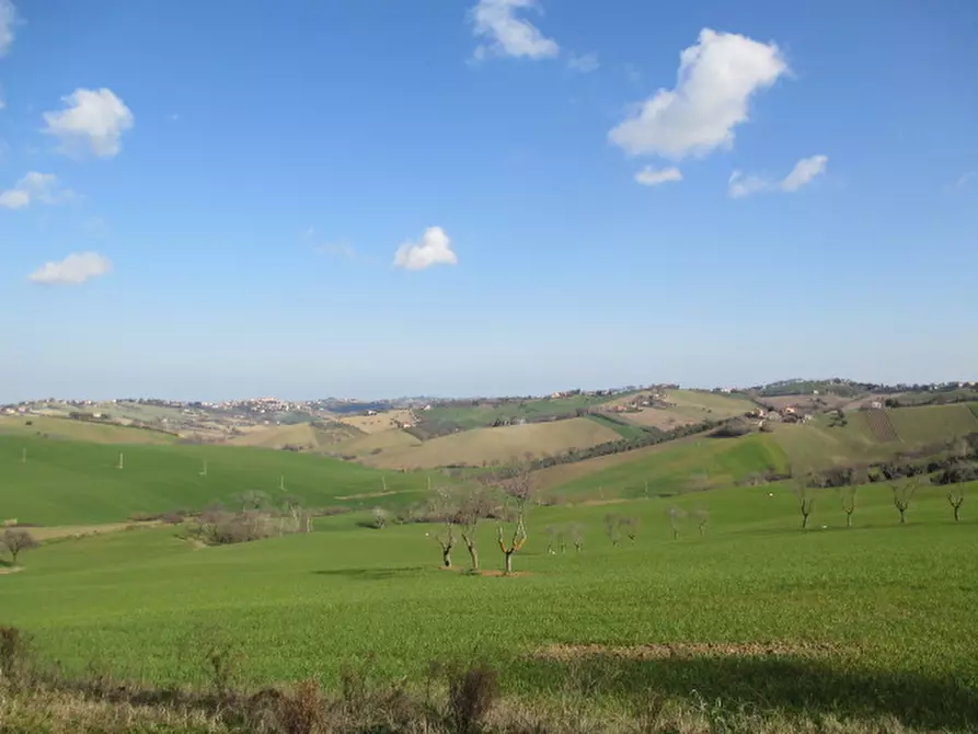 Immagine 2 di Rustico / casale in vendita  a Belvedere Ostrense