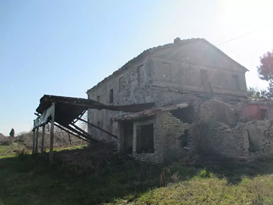 Immagine 3 di Rustico / casale in vendita  a Belvedere Ostrense