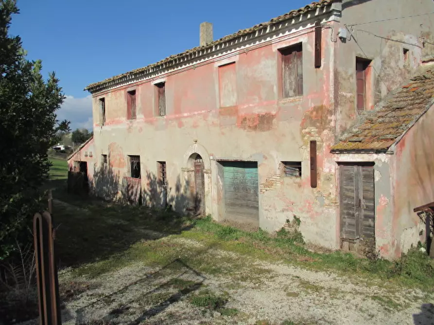 Immagine 4 di Rustico / casale in vendita  a Belvedere Ostrense