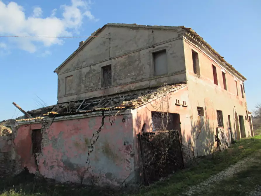 Immagine 5 di Rustico / casale in vendita  a Belvedere Ostrense