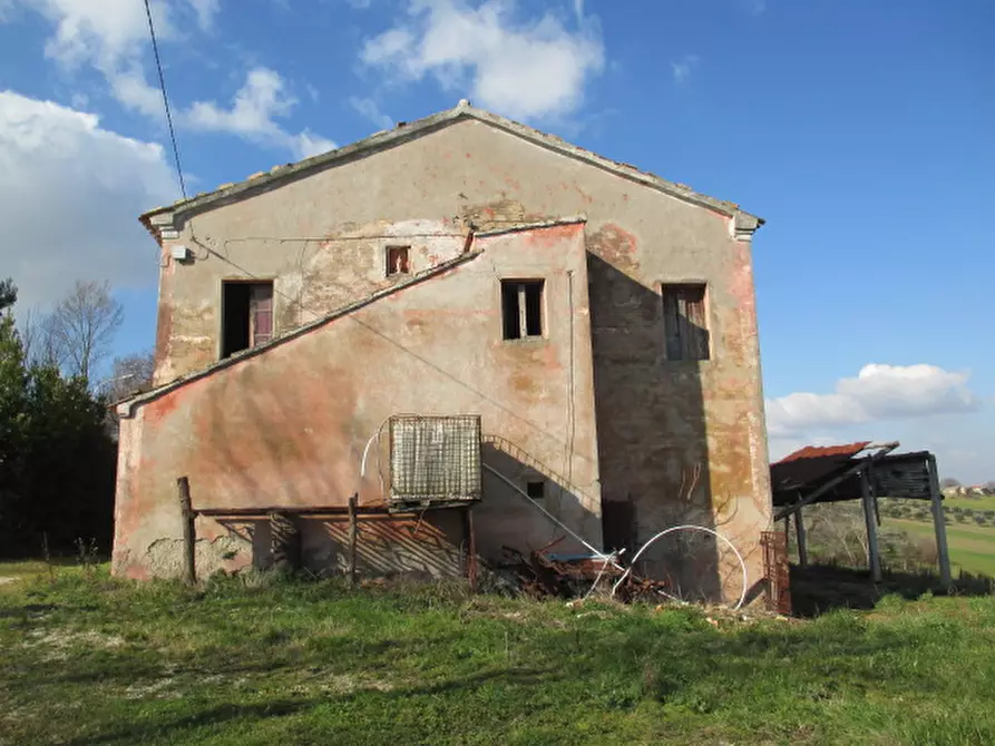 Immagine 6 di Rustico / casale in vendita  a Belvedere Ostrense