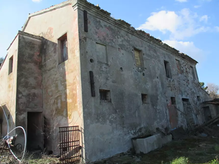 Immagine 8 di Rustico / casale in vendita  a Belvedere Ostrense