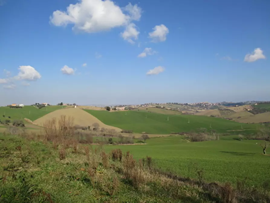 Immagine 11 di Rustico / casale in vendita  a Belvedere Ostrense