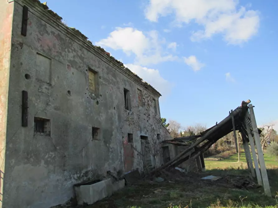 Immagine 12 di Rustico / casale in vendita  a Belvedere Ostrense