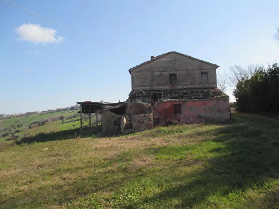 Immagine 13 di Rustico / casale in vendita  a Belvedere Ostrense