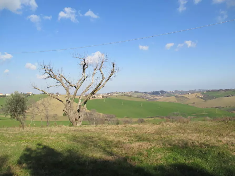 Immagine 16 di Rustico / casale in vendita  a Belvedere Ostrense