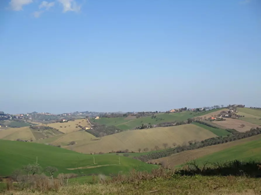 Immagine 18 di Rustico / casale in vendita  a Belvedere Ostrense