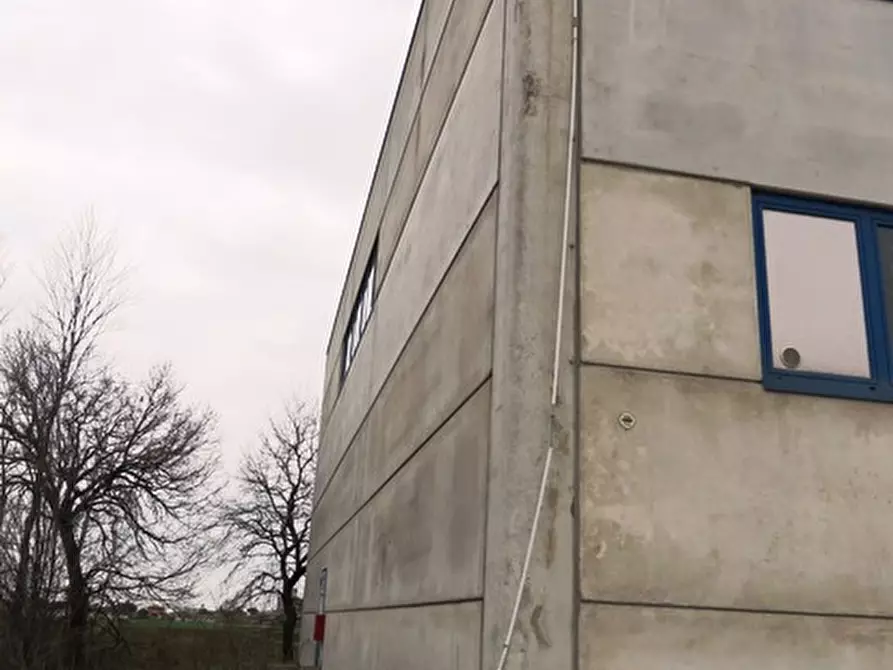 Immagine 5 di Capannone industriale in vendita  in via 11 settembre 2001 a Longiano