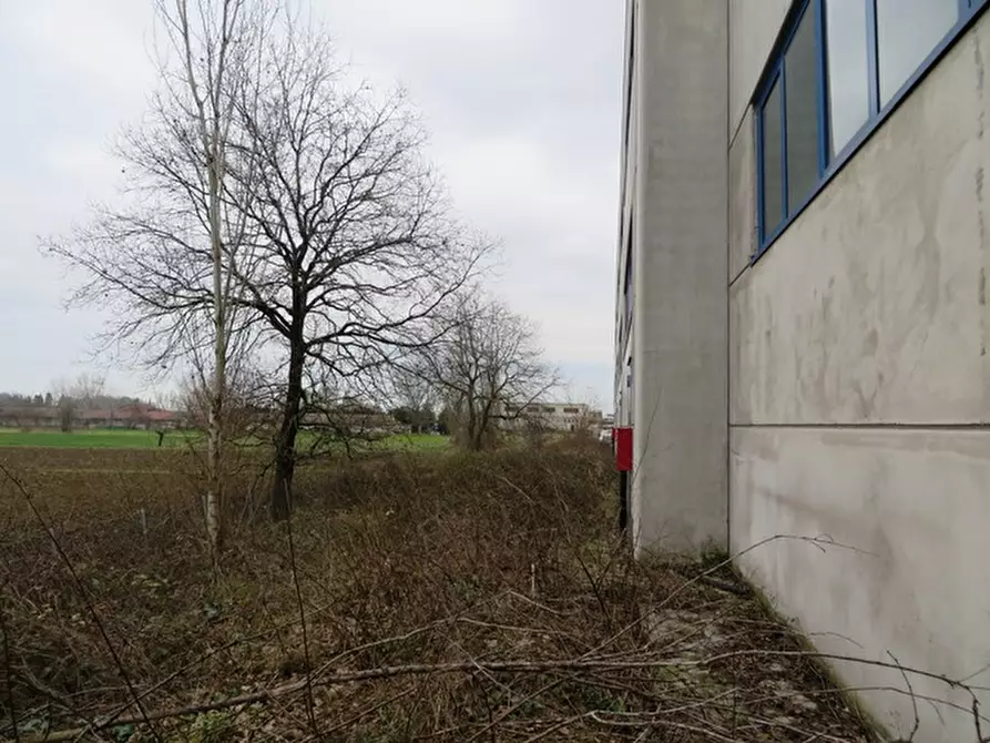 Immagine 12 di Capannone industriale in vendita  in via 11 settembre 2001 a Longiano
