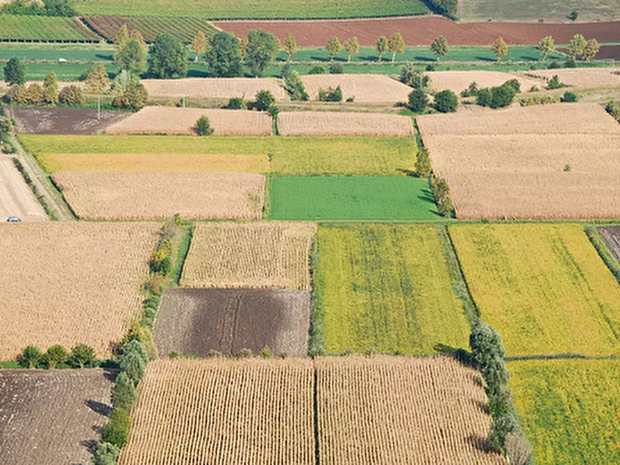 Immagine 1 di Terreno in vendita  in via finale a Villa Estense