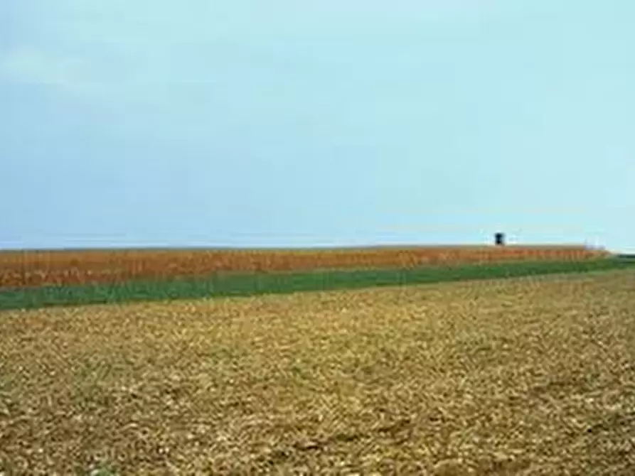 Immagine 3 di Terreno in vendita  in via finale a Villa Estense