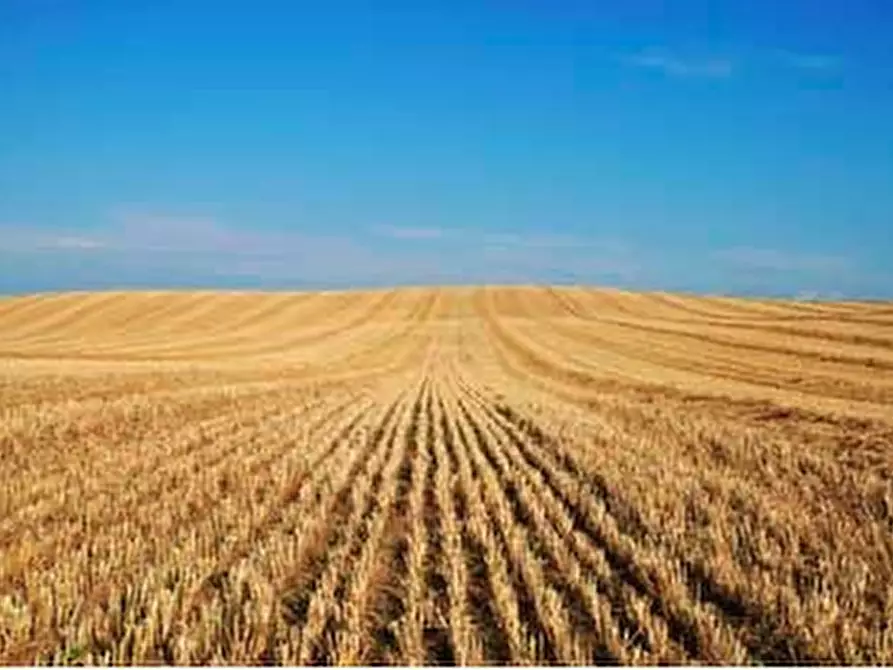 Immagine 4 di Terreno in vendita  in via finale a Villa Estense