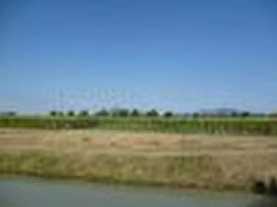 Immagine 6 di Terreno in vendita  in via finale a Villa Estense