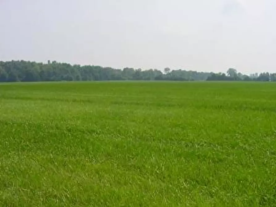 Immagine 7 di Terreno in vendita  in via finale a Villa Estense