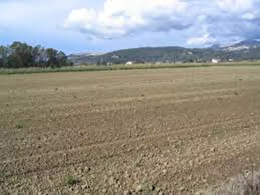 Immagine 9 di Terreno in vendita  in via finale a Villa Estense