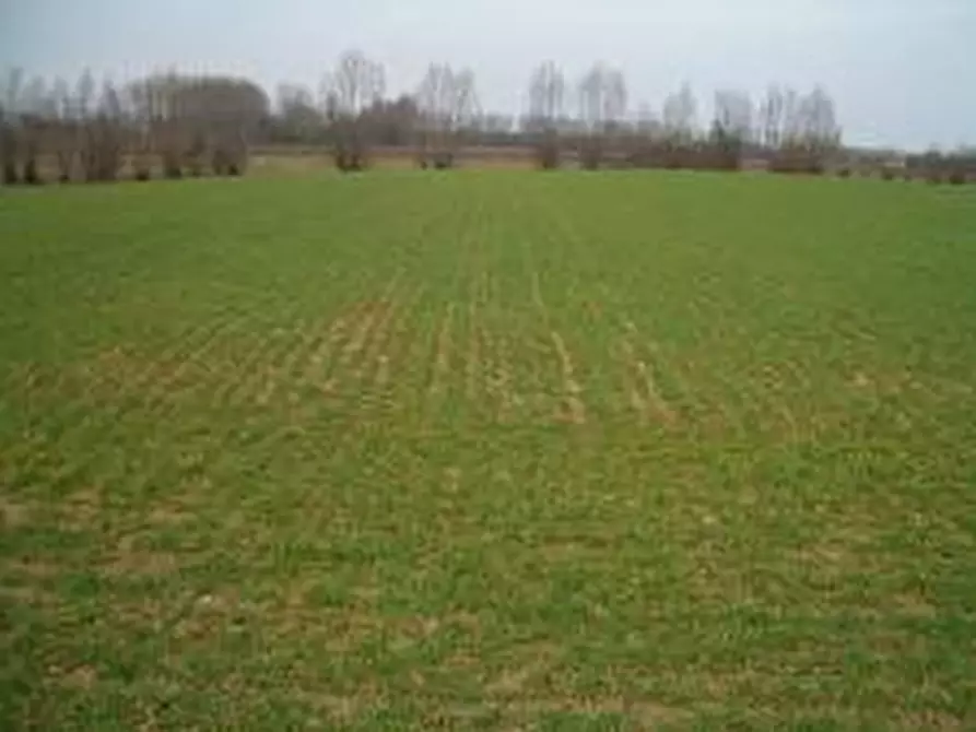 Immagine 10 di Terreno in vendita  in via finale a Villa Estense