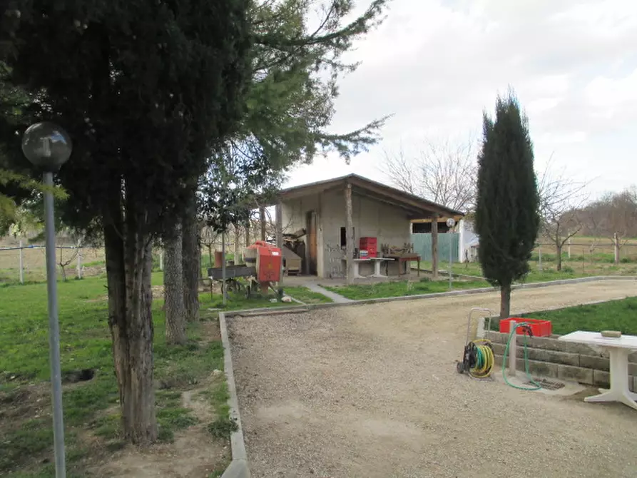 Immagine 20 di Rustico / casale in vendita  a Senigallia