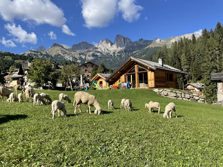 Immagine 4 di Casa indipendente in vendita  in Via Pineta a Falcade
