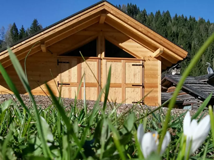 Immagine 18 di Casa indipendente in vendita  in Via Pineta a Falcade