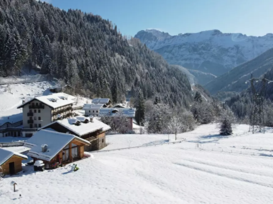 Immagine 24 di Casa indipendente in vendita  in Via Pineta a Falcade