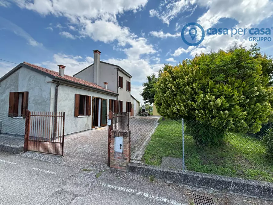 Immagine 2 di Casa indipendente in vendita  a San Martino Di Venezze