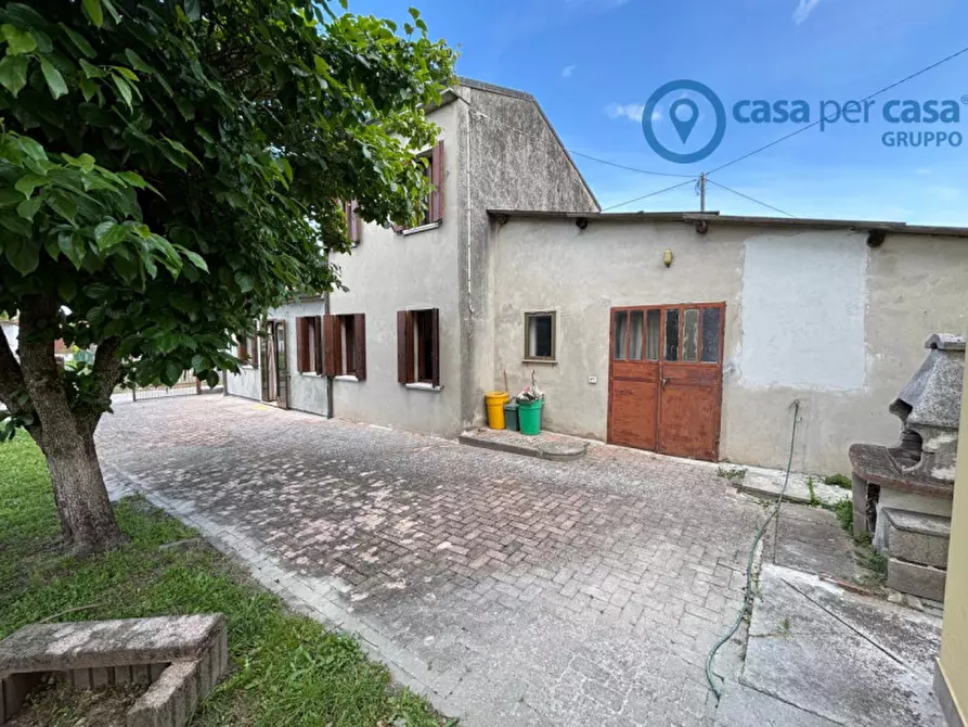 Immagine 16 di Casa indipendente in vendita  a San Martino Di Venezze