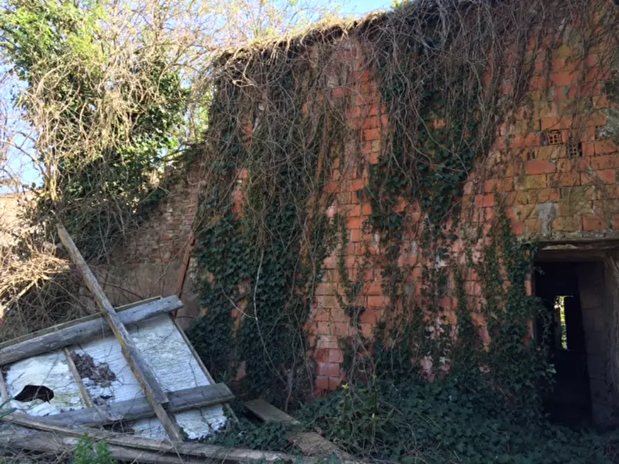 Immagine 2 di Terreno in vendita  in via Tommaso Bergamo a Rovigo
