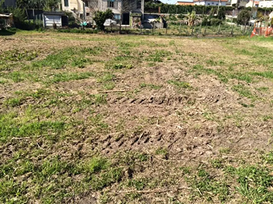 Immagine 6 di Terreno in vendita  in via Tommaso Bergamo a Rovigo