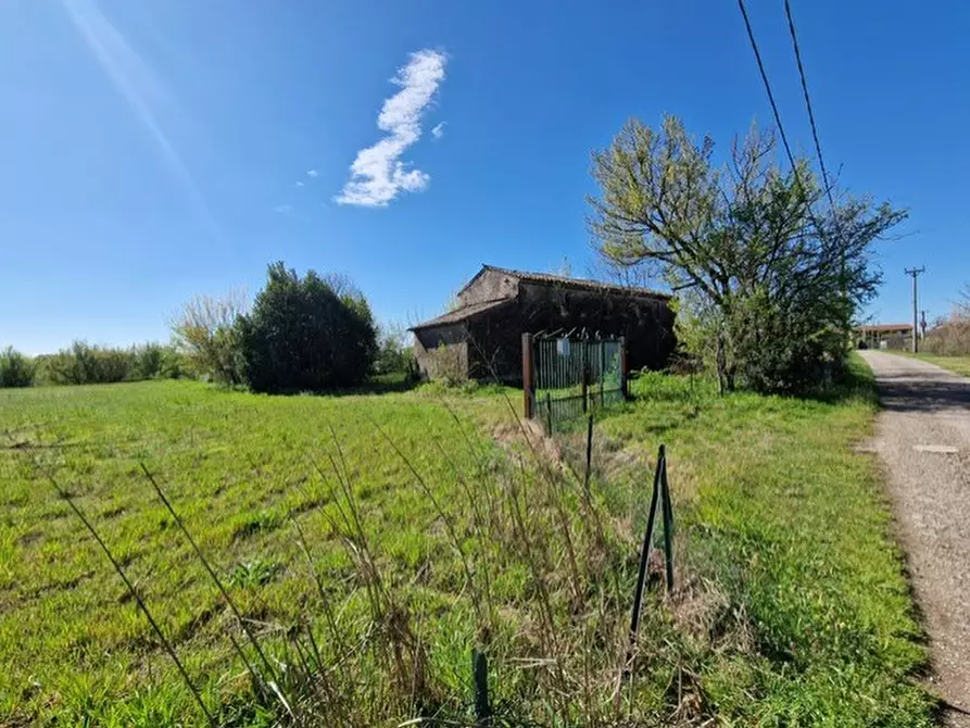 Immagine 11 di Rustico / casale in vendita  in Via Campagne a Bovolone