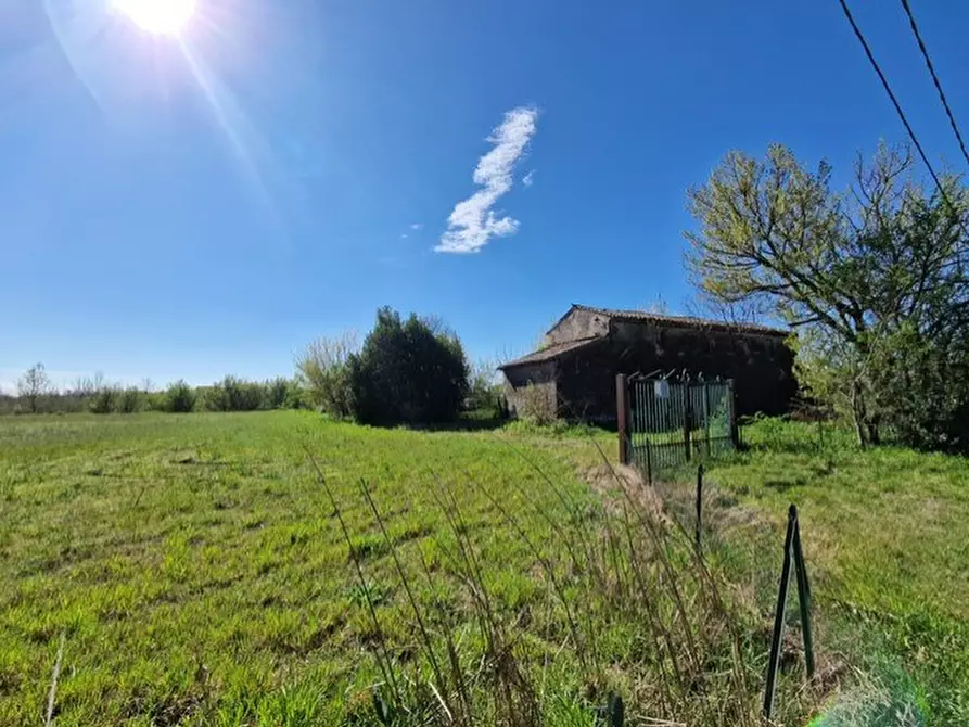 Immagine 13 di Rustico / casale in vendita  in Via Campagne a Bovolone