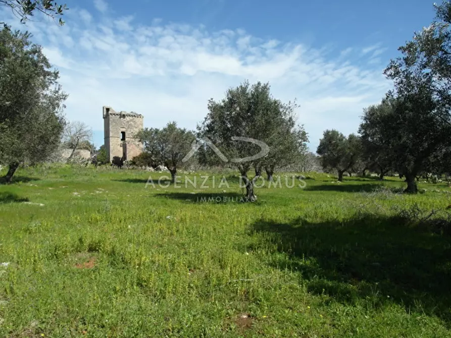 Immagine 2 di Terreno in vendita  a Racale