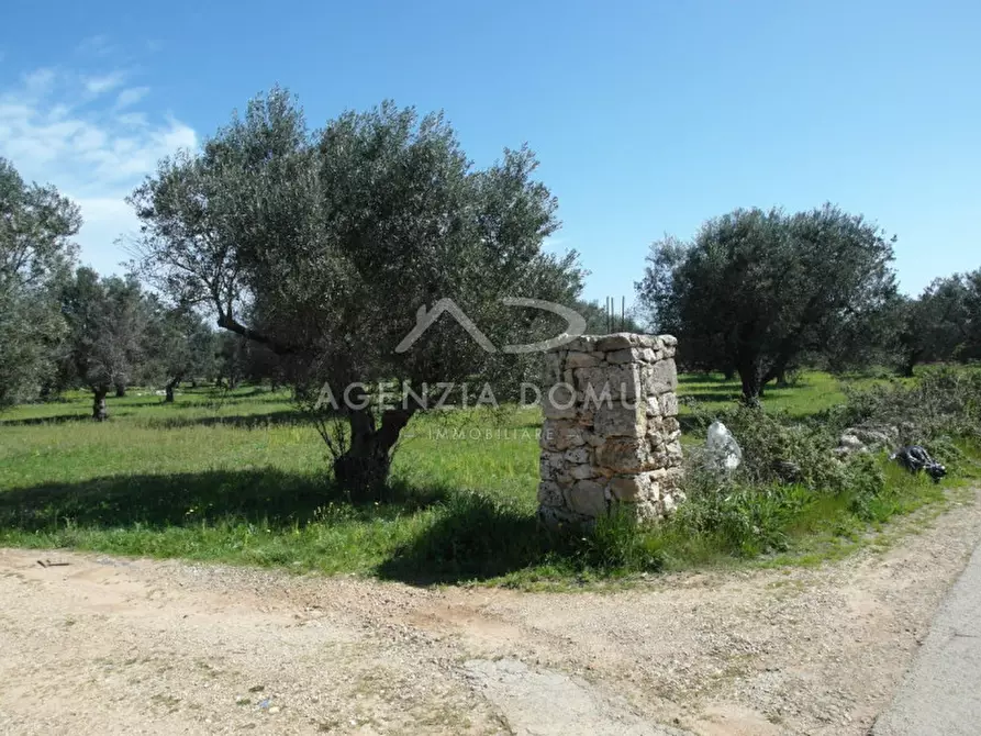 Immagine 4 di Terreno in vendita  a Racale