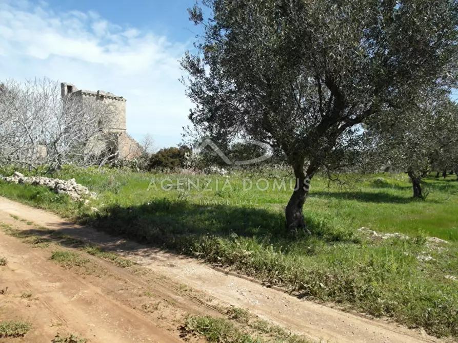 Immagine 7 di Terreno in vendita  a Racale