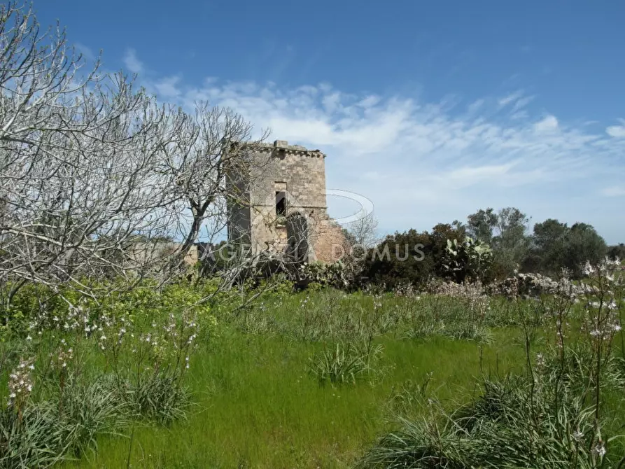 Immagine 9 di Terreno in vendita  a Racale