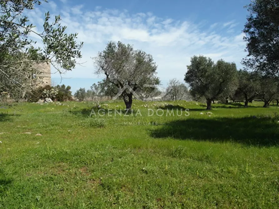 Immagine 10 di Terreno in vendita  a Racale