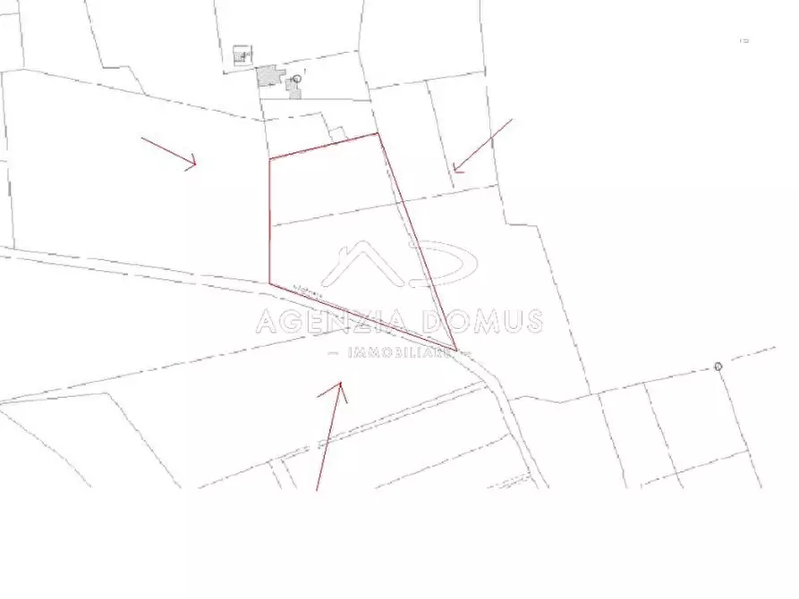 Immagine 11 di Terreno in vendita  a Racale